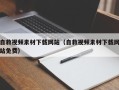 磐石自救视频素材下载网站（自救视频素材下载网站免费）